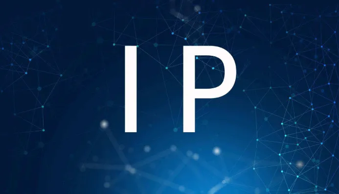 IP代理:您的数字身份隐形斗篷