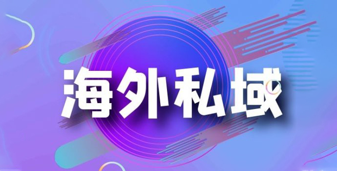 如何运用海外私域营销策略在海外市场取得成功?