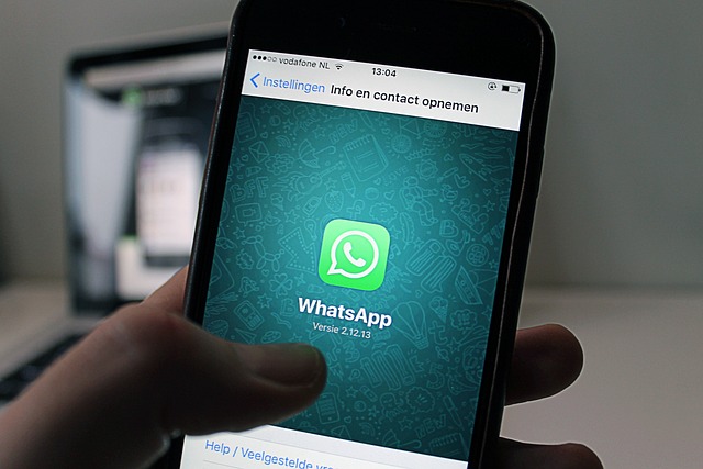 WhatsApp云控群控是什么?
