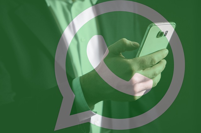 WhatsApp群控是什么?怎么实现群控?