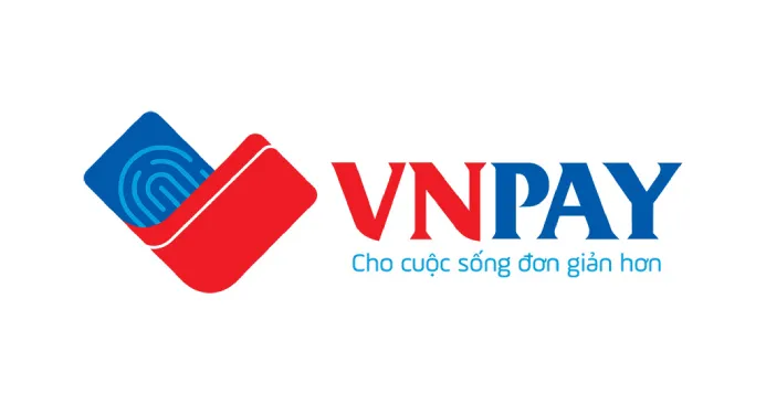 VNPay数据采集如何使用?