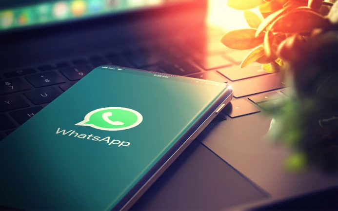 WhatsApp群发标签:精准定位客户群体