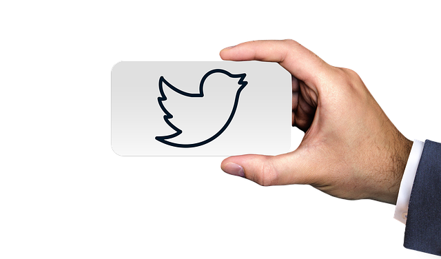 掌握Twitter群发:营销新境界
