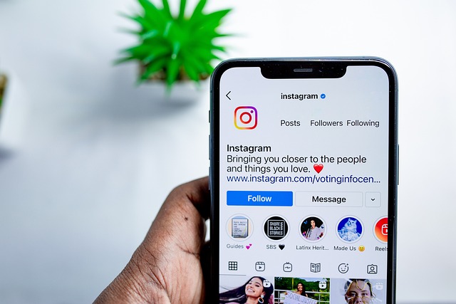 Instagram如何筛选合适的账号?