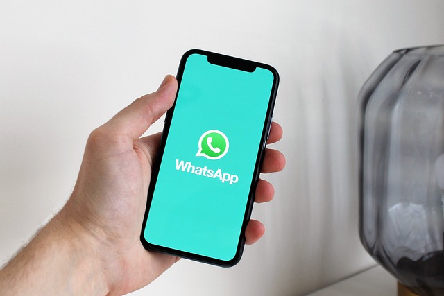 WhatsApp私域营销:打造个性化互动的品牌之道