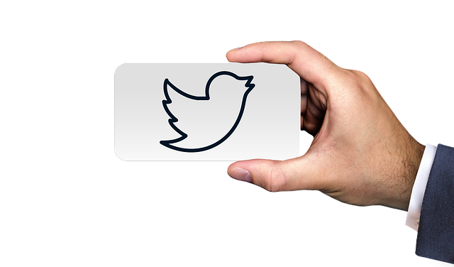 Twitter数据采集有哪些方法?