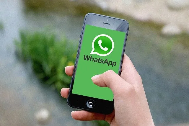 WhatsApp分流链接效果如何?试一下就知道