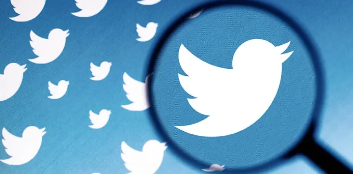 Twitter加粉计数攻略:构建强大社交网络的秘诀